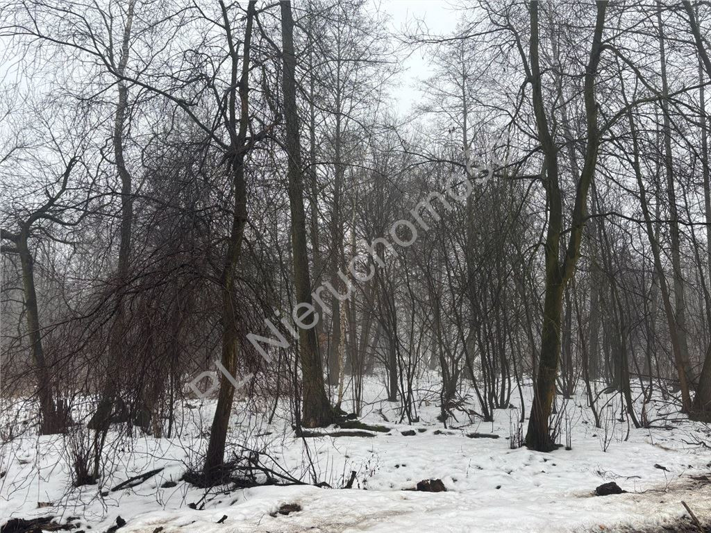 Kompleks 4 działek z pozwoleniami na budowę - Widok 3