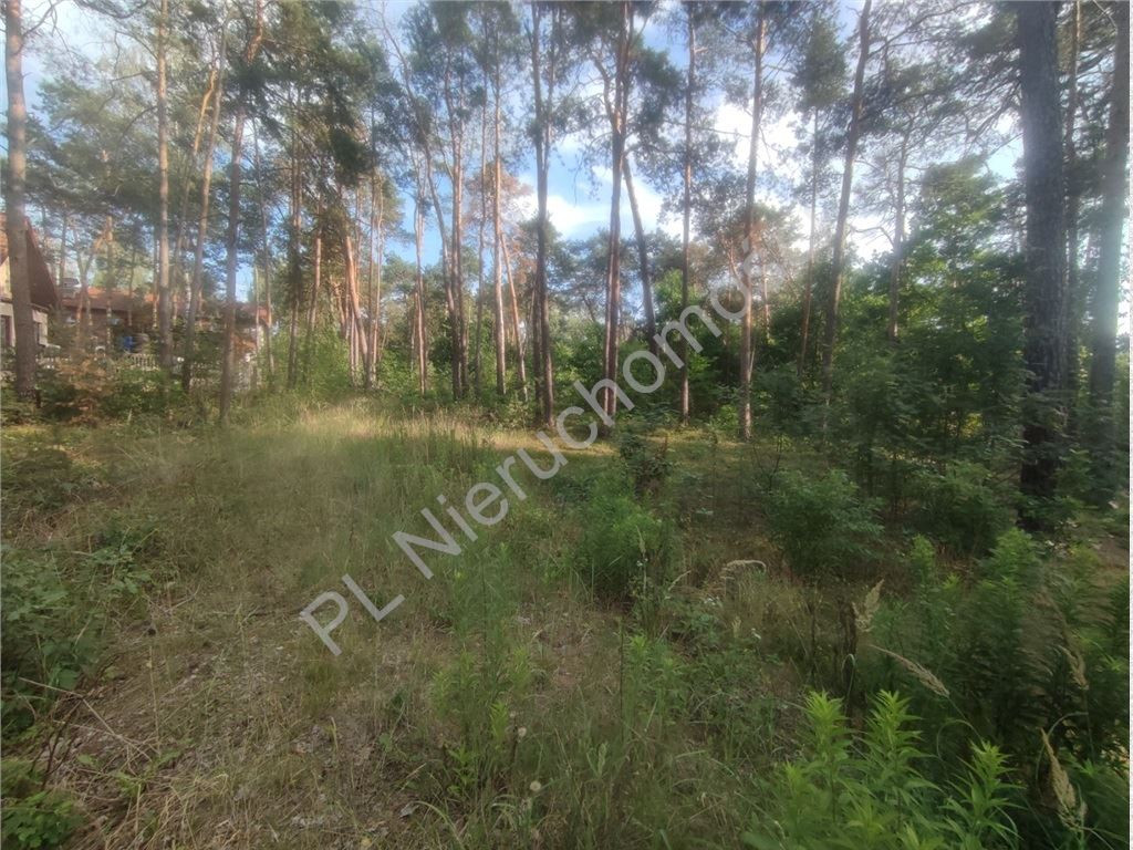 Działka budowlana w Międzyborowie- 500m od szkoły - Widok 4