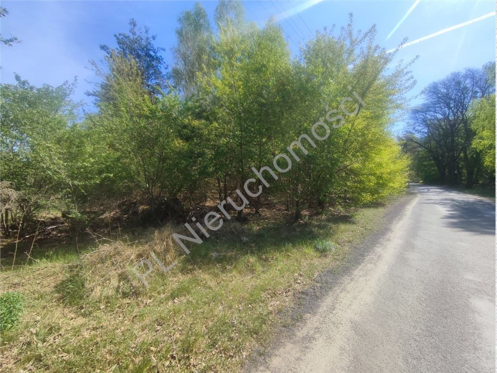 Działka 1013 m² pod dom- Książenice - Widok 2
