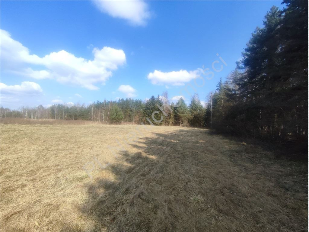 Działka 1,01 ha- MPZP- zabudowa siedliskowa- Skuły - Widok 3