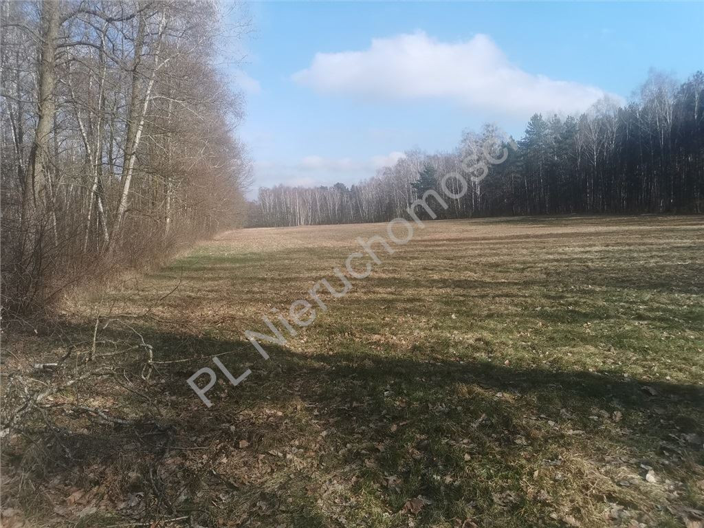 gratka-G-93544-6 - Widok 3