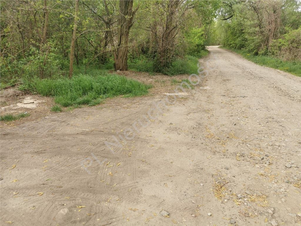 3,93 ha pod inwestycję! Blisko A2- Kłudno Nowe - Widok 3