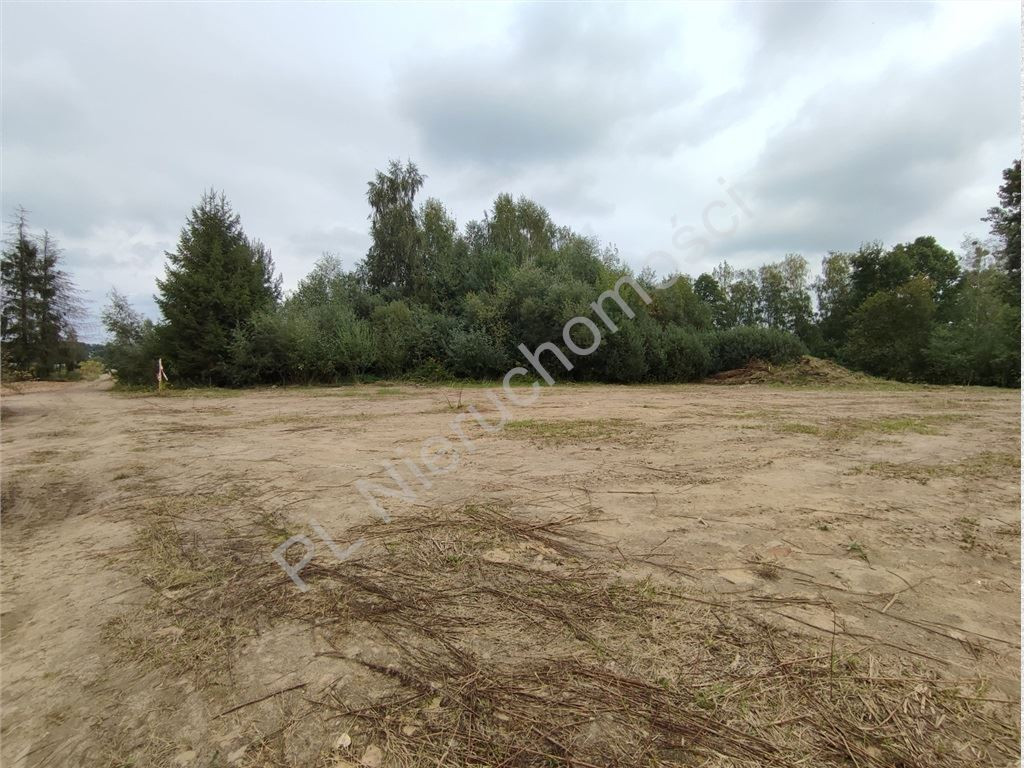 gratka-G-89541-5 - Widok 4
