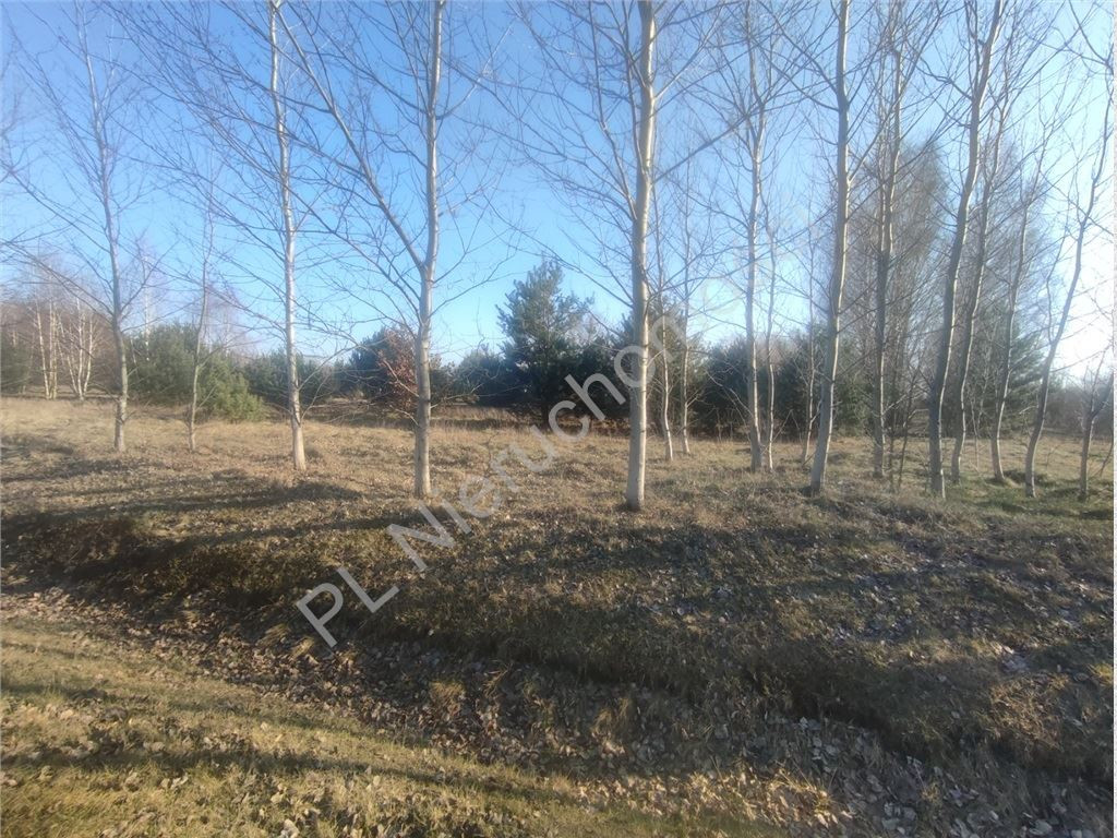 gratka-G-91014-6 - Widok 4