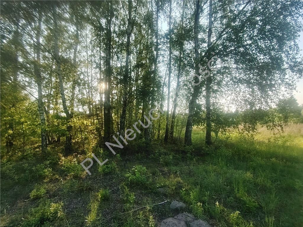 Duża działka budowlana 2210 m²- Opypy - Widok 5