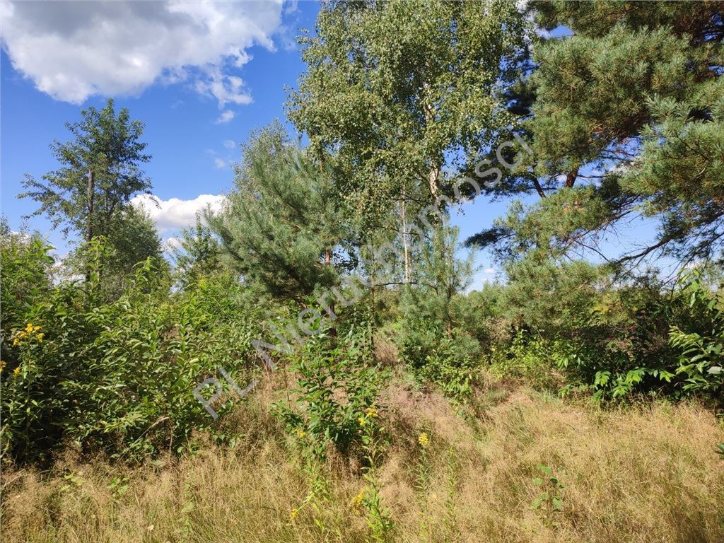 3,29 ha pod halę, magazyn lub produkcję - Widok 5