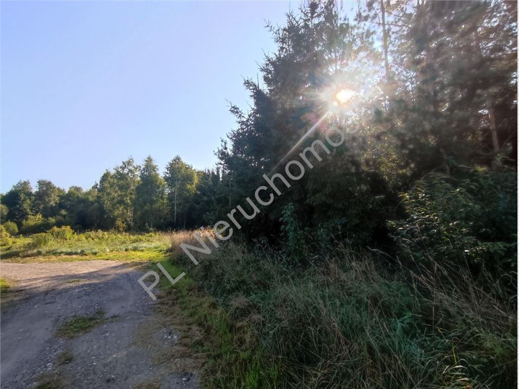 gratka-G-90130-6 - Widok 5