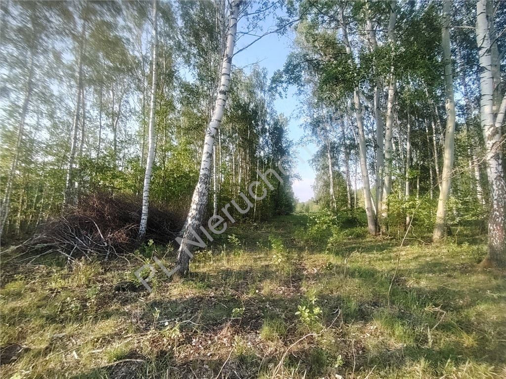 Duża działka budowlana 2210 m²- Opypy - Widok 2