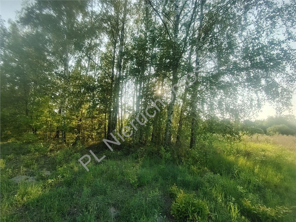Duża działka budowlana 2210 m²- Opypy - Widok 3