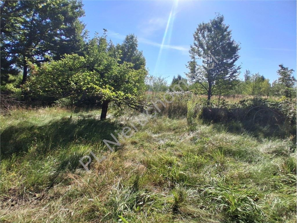 gratka-G-93197-6 - Widok 2