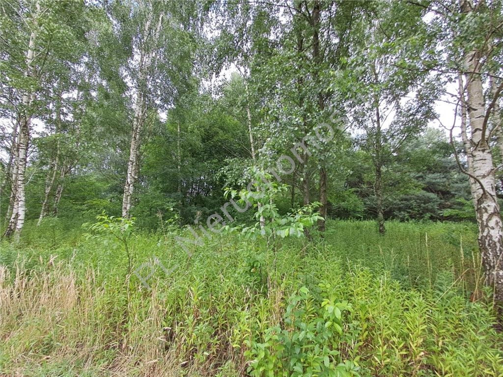 1400 m² przestrzeni na Twój wymarzony dom - Widok 5