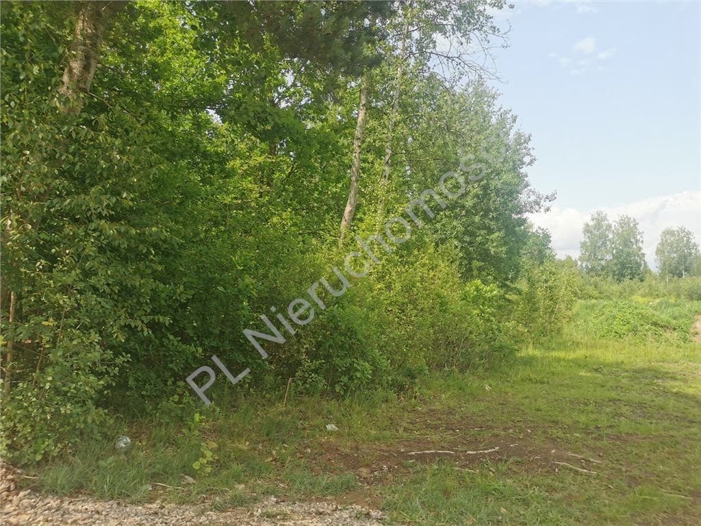 Spokój Czarnego Lasu, bliskość Warszawy - Widok 5