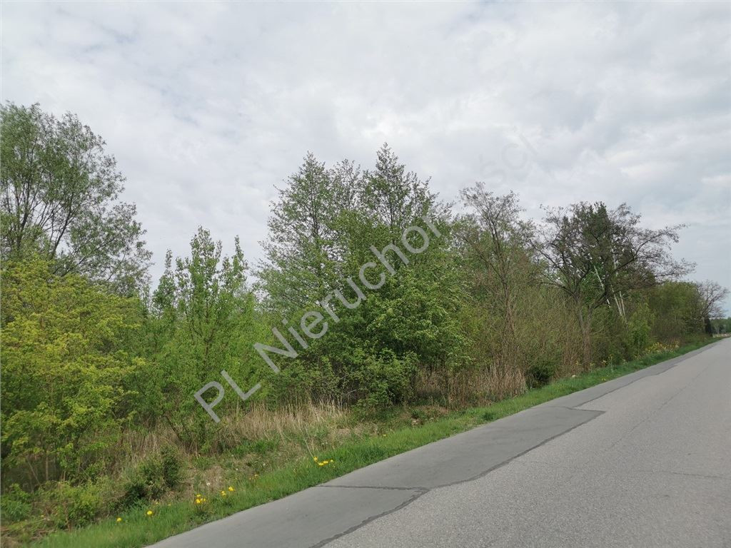 3,93 ha pod inwestycję! Blisko A2- Kłudno Nowe - Widok 2