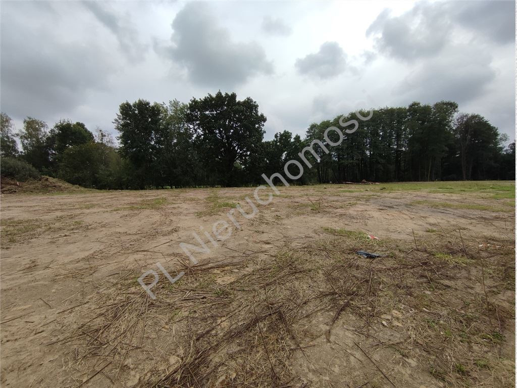 gratka-G-89541-5 - Widok 3