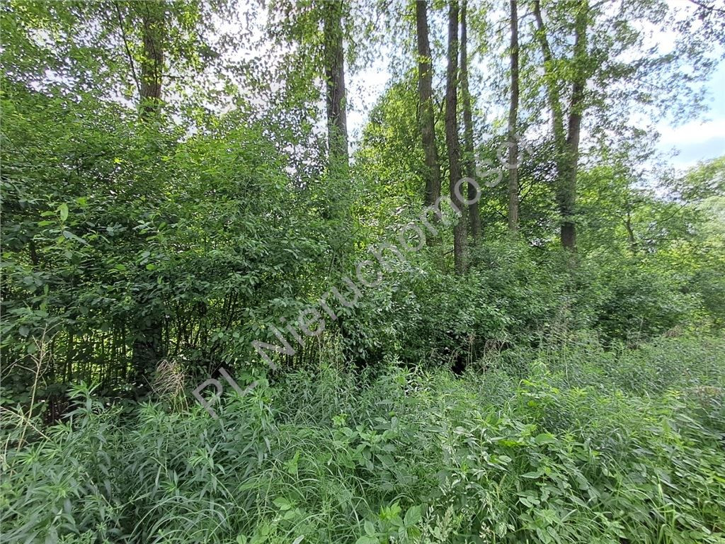 gratka-G-92888-6 - Widok 3