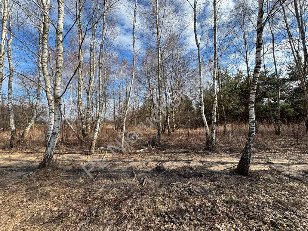 1400 m² przestrzeni na Twój wymarzony dom - Widok 3