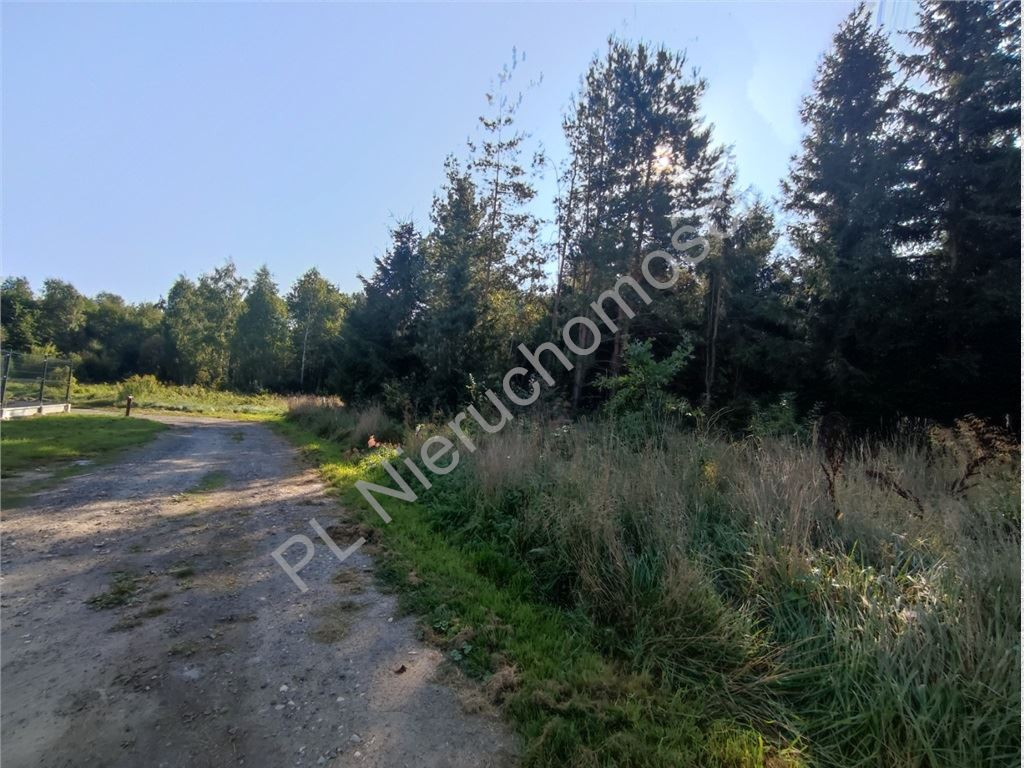 gratka-G-90130-6 - Widok 4
