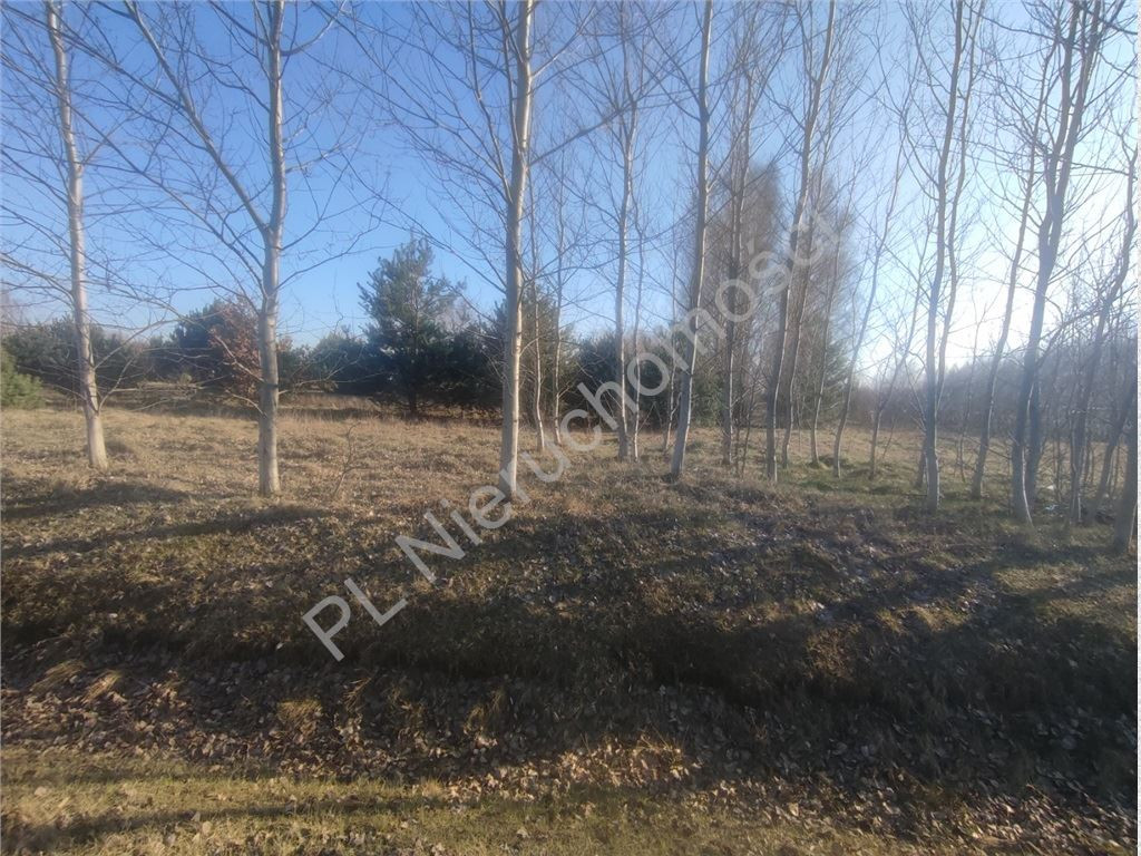 gratka-G-91014-6 - Widok 3