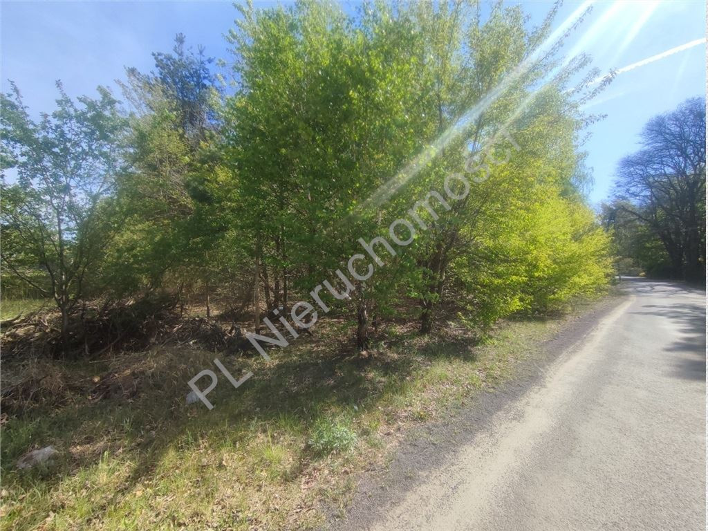 Działka 1013 m² pod dom- Książenice - Widok 5