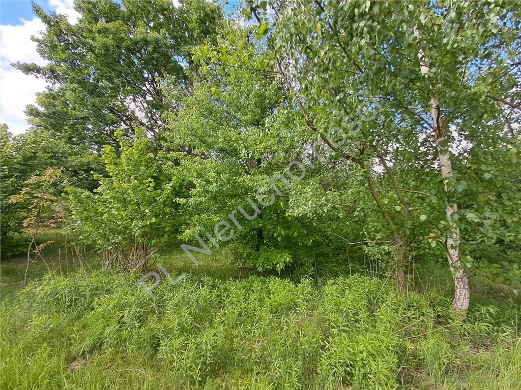 gratka-G-93208-6 - Widok 4