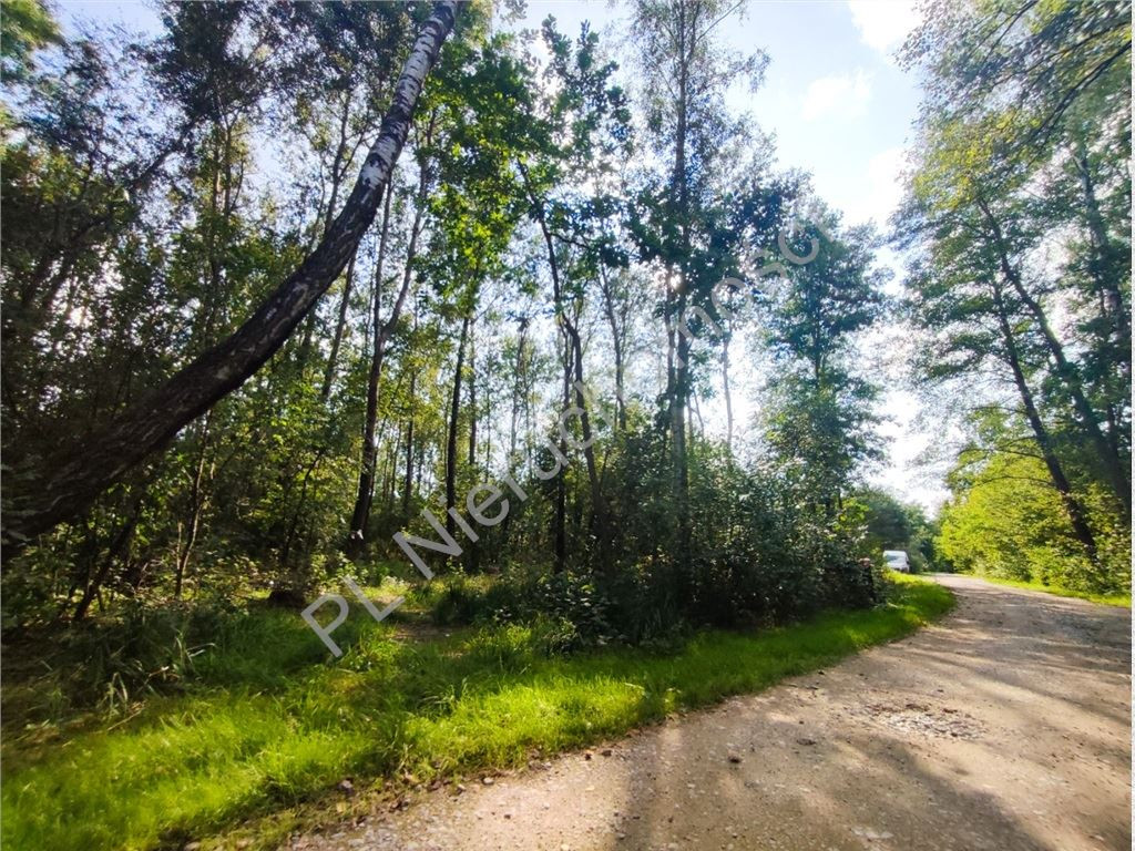Spokój Czarnego Lasu, bliskość Warszawy - Widok 3