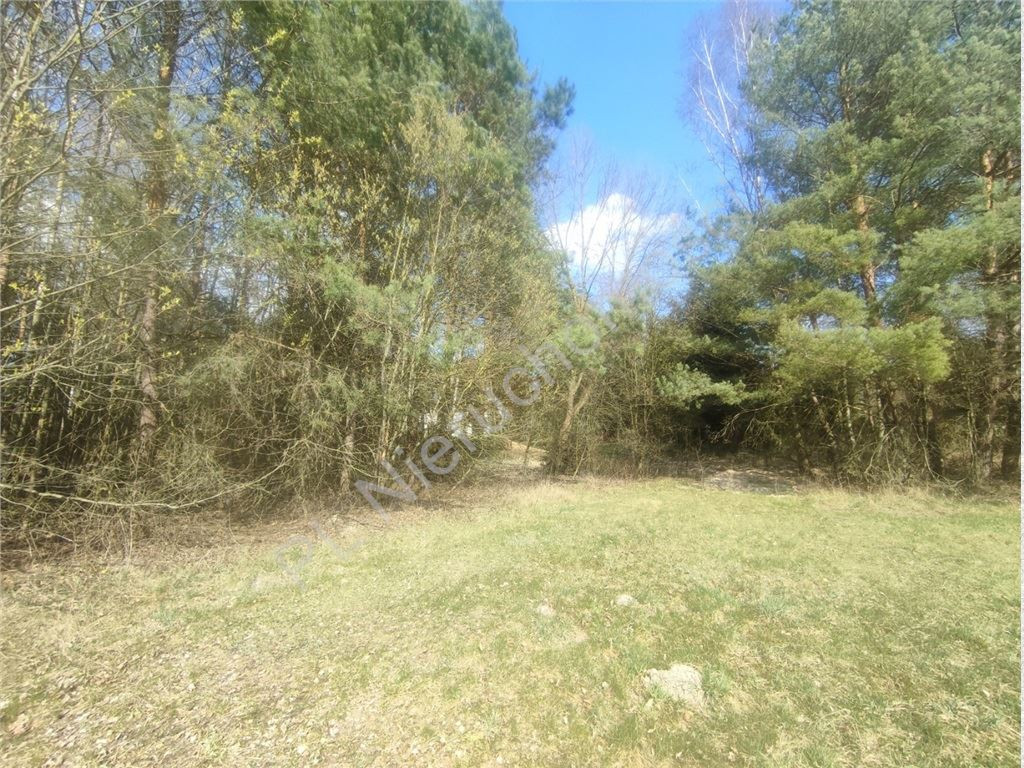 Działka 1,01 ha- MPZP- zabudowa siedliskowa- Skuły - Widok 2