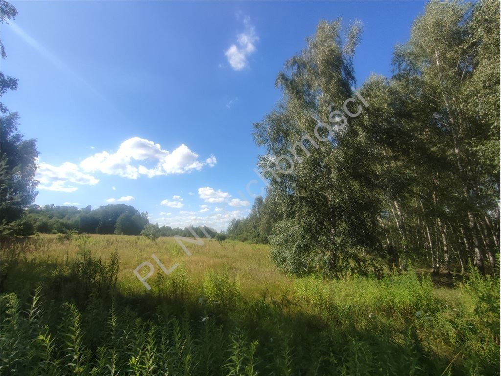 3,79 HA GRUNTU Z MPZP– BIEGANÓW - Widok 2