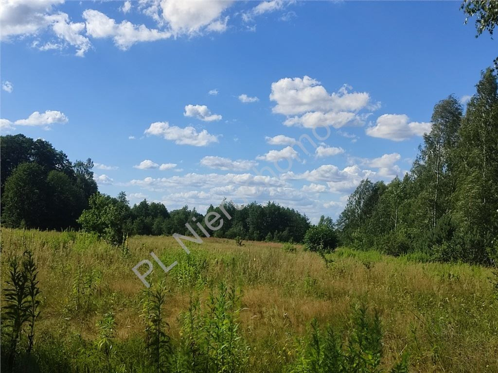 3,79 HA GRUNTU Z MPZP– BIEGANÓW - Widok 3