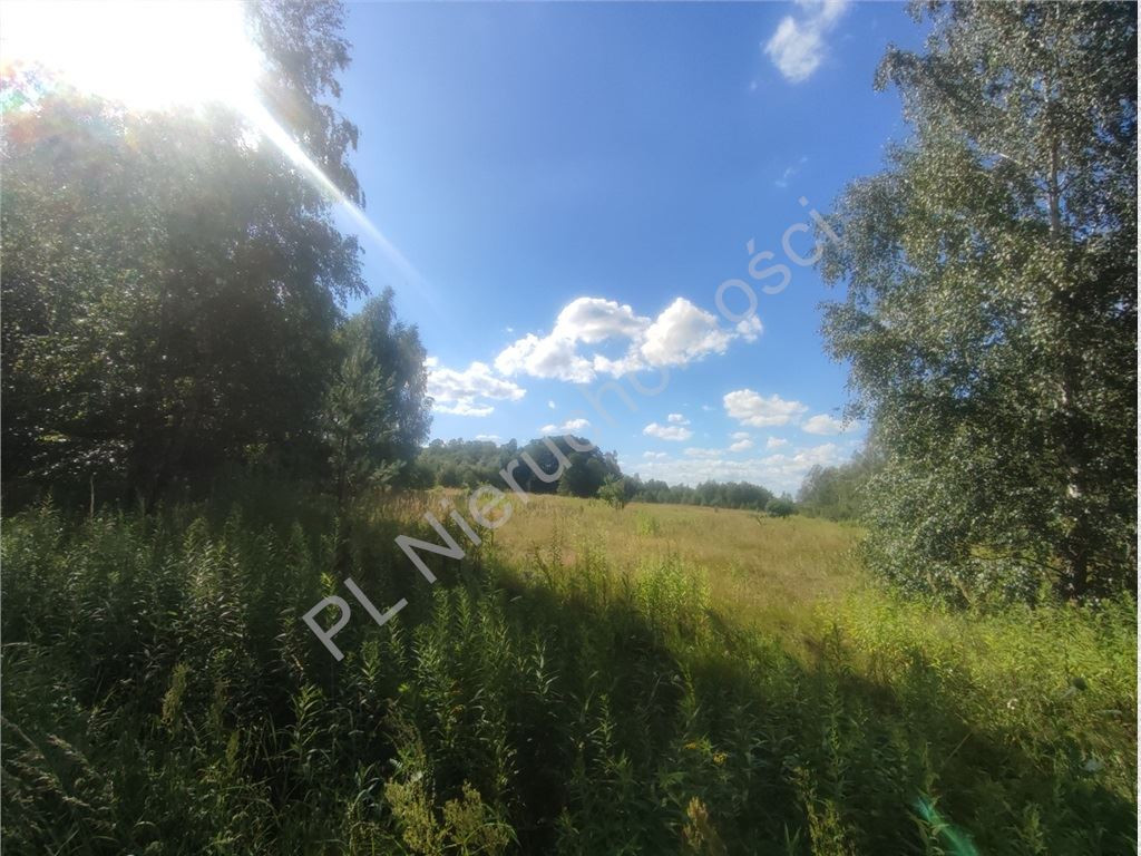 3,79 HA GRUNTU Z MPZP– BIEGANÓW - Widok 5