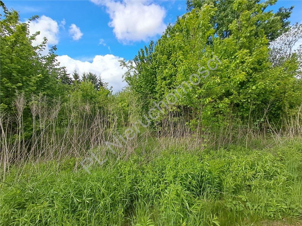 gratka-G-93208-6 - Widok 2