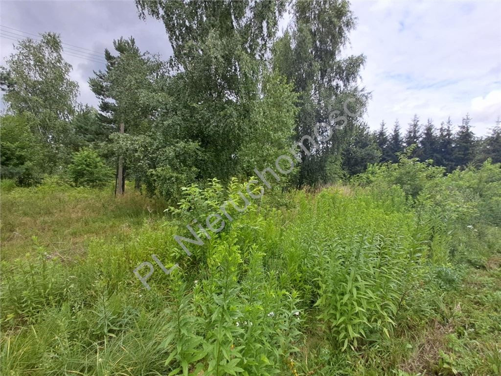 1400 m² przestrzeni na Twój wymarzony dom - Więcej