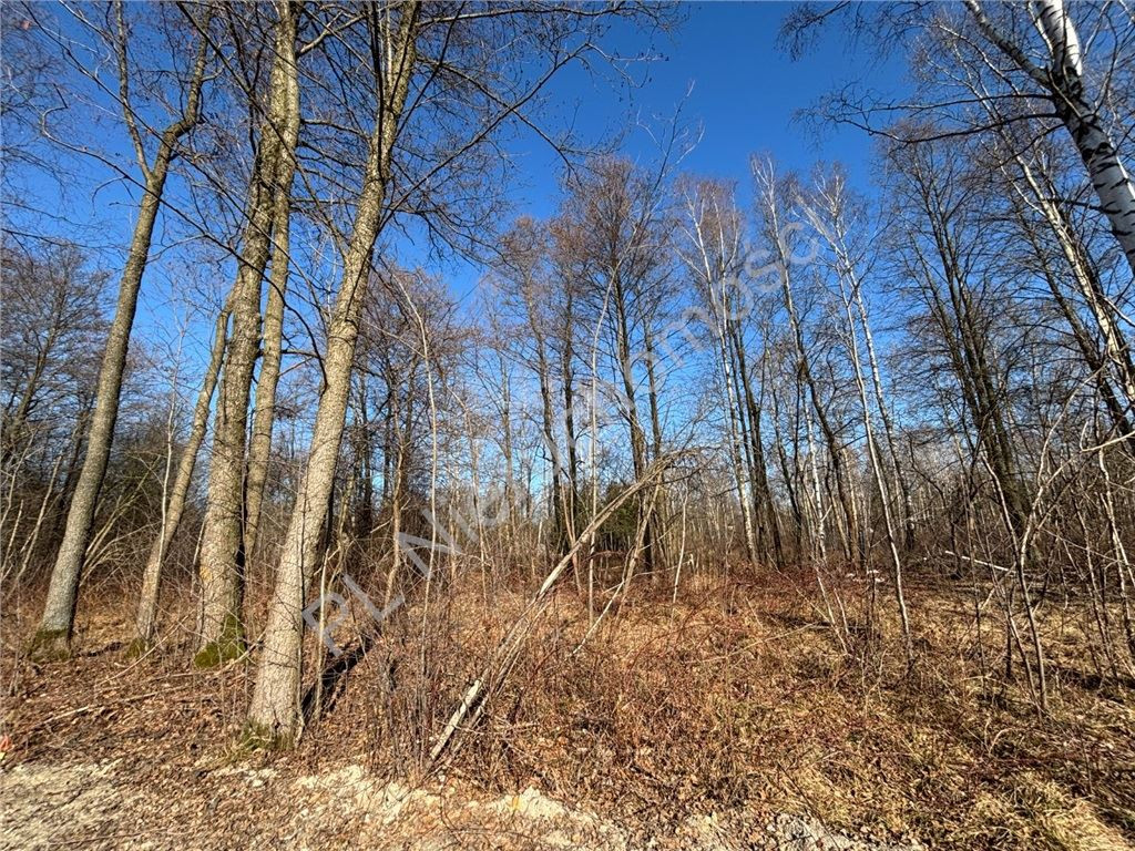 gratka-G-93323-6 - Widok 5