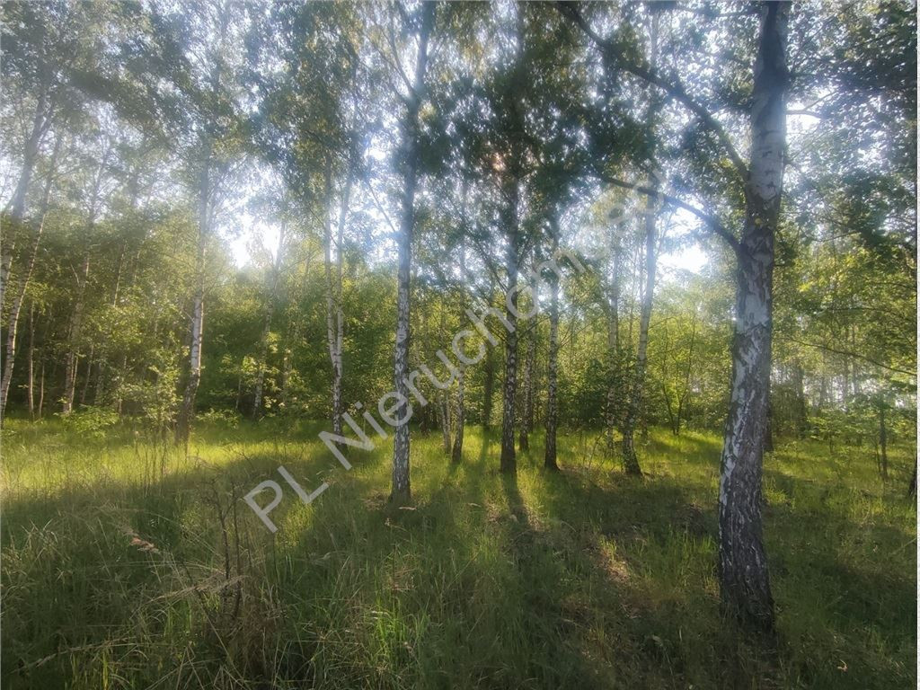 Milanówek- 1960 m²- MPZP - Widok 4