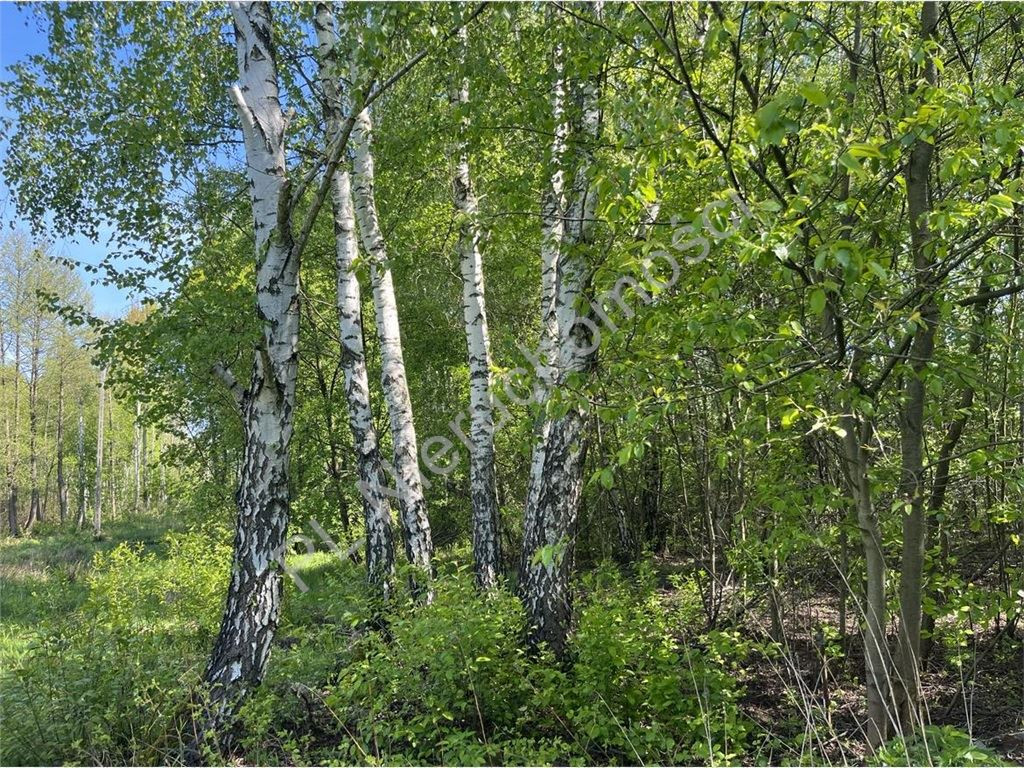 gratka-G-93520-6 - Widok 3