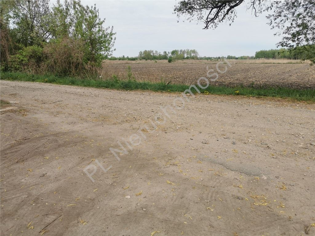 3,93 ha pod inwestycję! Blisko A2- Kłudno Nowe - Widok 5