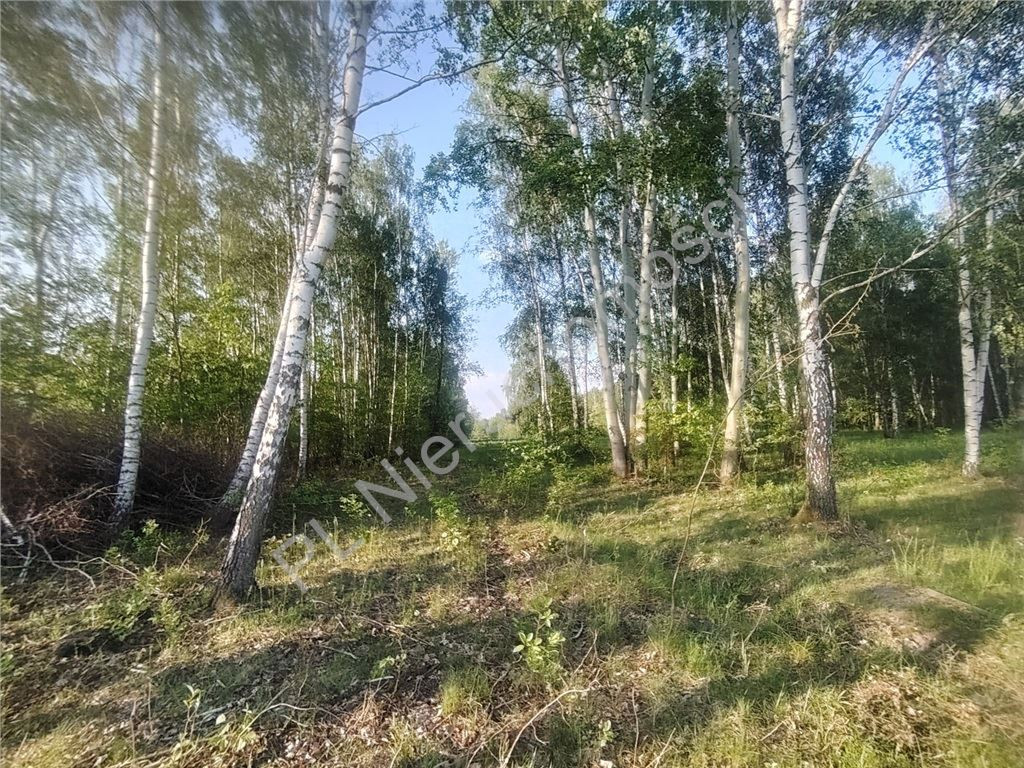 Duża działka budowlana 2210 m²- Opypy - Więcej