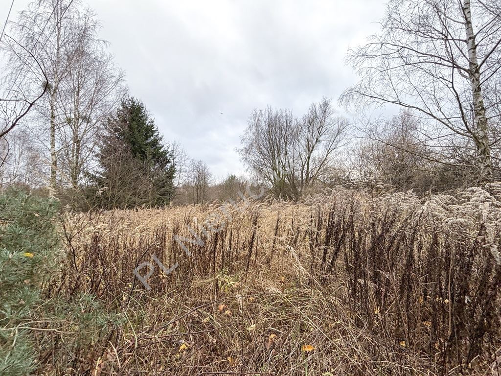 Twój dom. Twoja przestrzeń - Widok 6