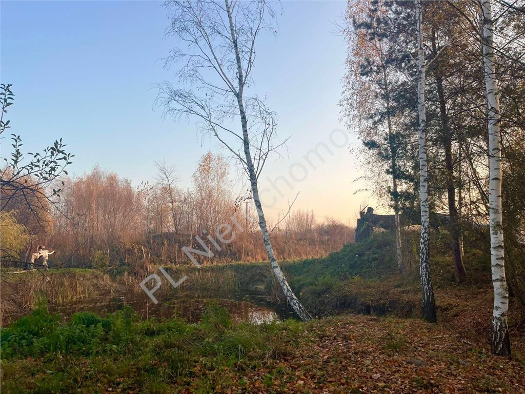 gratka-G-93307-6 - Widok 5