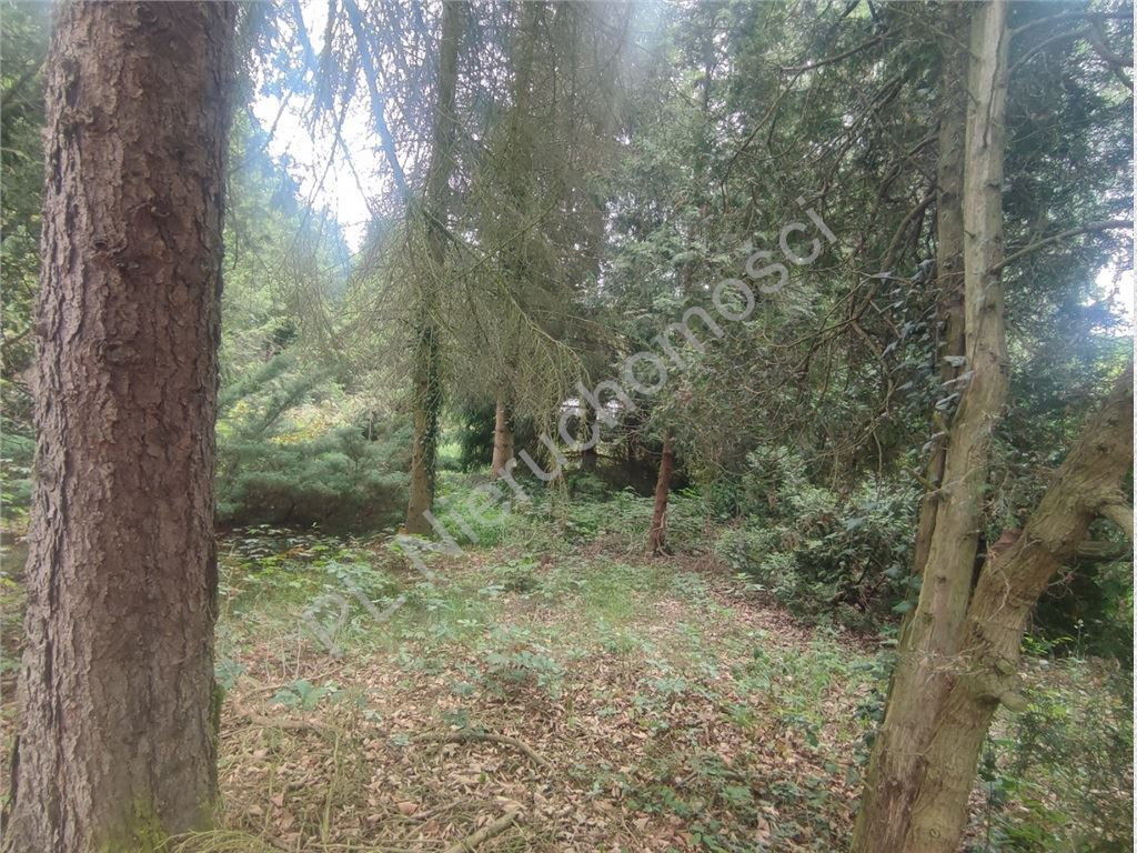 1717 m² w sercu Podkowy Leśnej - Widok 5