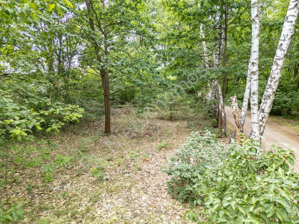 gratka-G-89424-5 - Widok 2