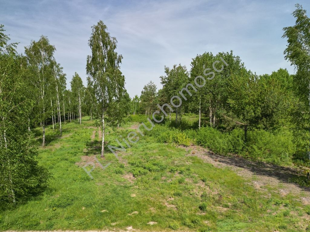 Ojrzanów- działka budowlana 1000 m² wśród zieleni - Widok 2