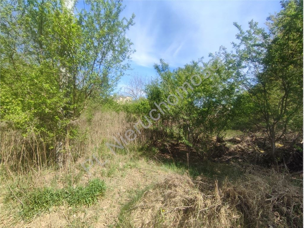 Działka 1013 m² pod dom- Książenice - Widok 3