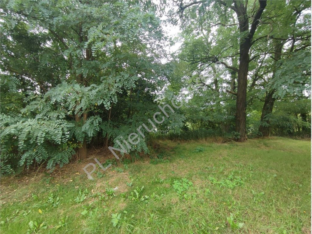 Wyjątkowa działka 2494 m²- prestiżowa lokalizacja - Widok 4