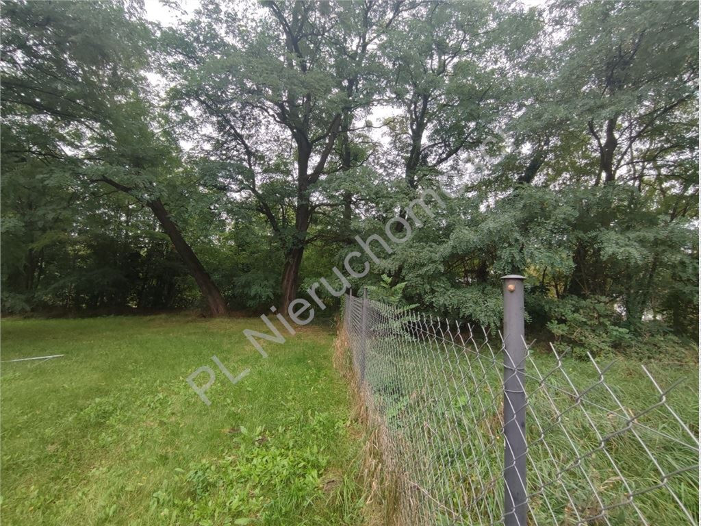Wyjątkowa działka 2494 m²- prestiżowa lokalizacja - Widok 5
