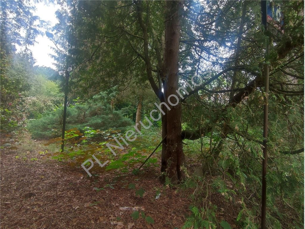 1717 m² w sercu Podkowy Leśnej - Widok 4