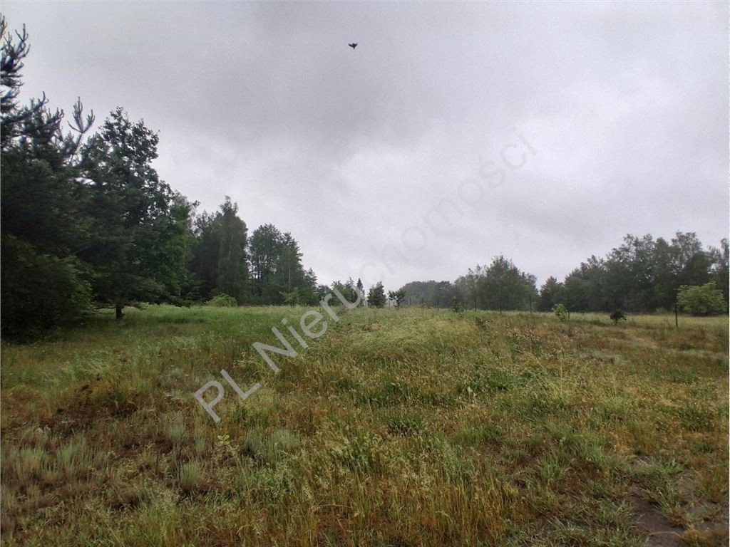gratka-G-93528-6 - Widok 4