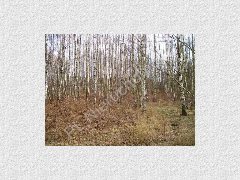 gratka-G-93534-6 - Widok 3