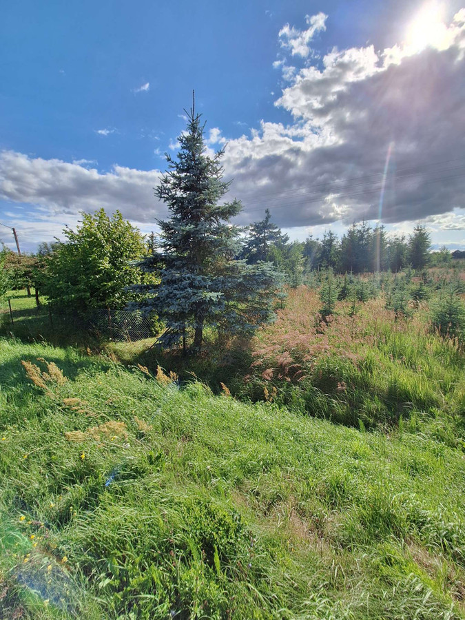 Doskonałe 4000 m² na dom z usługami , wydane warunki zabudowy. Tylko 82 zł/m2 - Widok 3