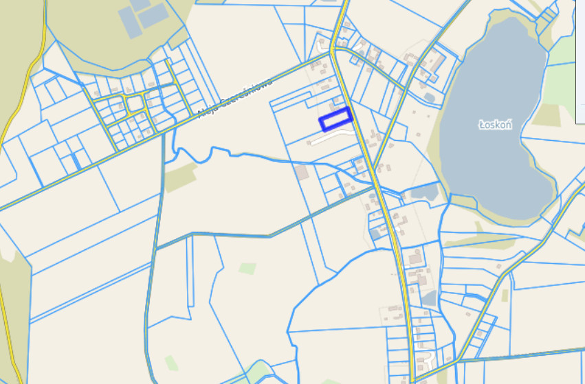 Doskonałe 4000 m² na dom z usługami , wydane warunki zabudowy. Tylko 82 zł/m2 - Widok 5