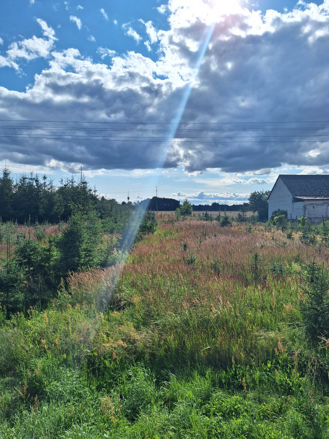 Doskonałe 4000 m² na dom z usługami , wydane warunki zabudowy. Tylko 82 zł/m2 - Widok 4